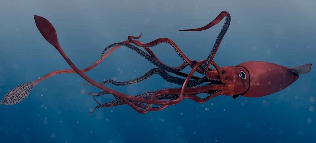 aquagame123's tweet photo. We need giant squid, the game needs it https://t.co/eM24EAByVk