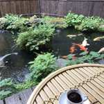 ツイートに含まれる画像