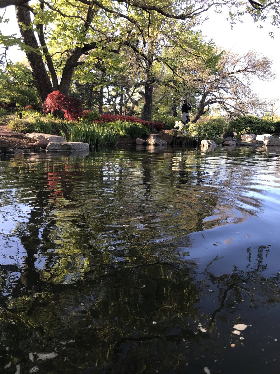 karen_szyjka's tweet photo. @gardenchicago CHICAGO & JAPAN HEALING #ChiParks #StopAsianHate #BlackLivesMatter #BLM #ChicagoMayor #jacksonparkac https://t.co/2wXozGp1no
