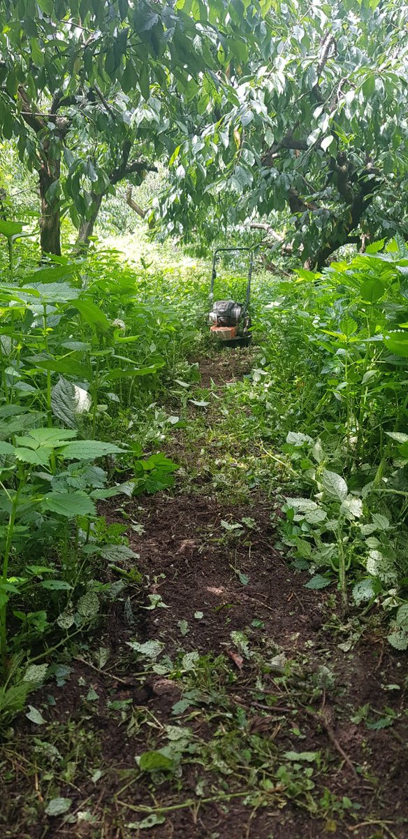 개마고원 화전민 (@ahs2352) on Twitter photo 