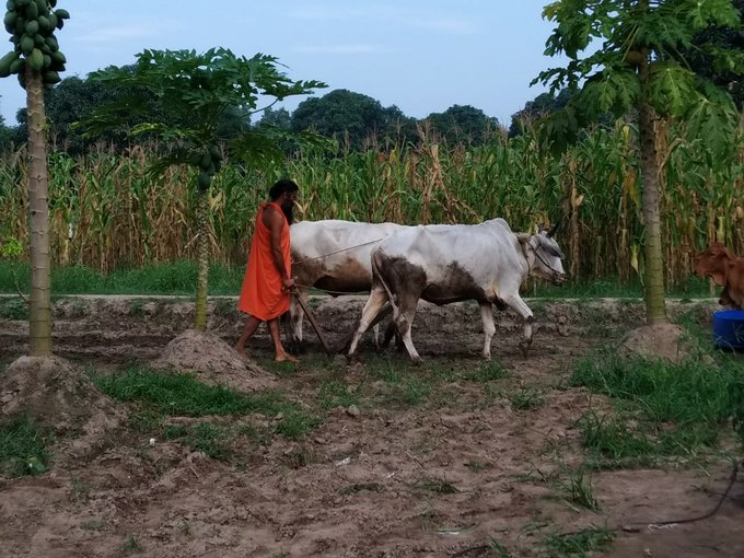 आलस्यं हि मनुष्याणां शरीरस्थो महान् रिपुः।
नास्त्युद्यमसमो बन्धुः कृत्वा यं नावसीदति ।।

 आलस्य ही मनुष्य का सबसे शत्रु होता है, तथा परिश्रम जैसा कोई मित्र नहीं होता, क्योंकि परिश्रम करने वाला व्यक्ति कभी दुखी नहीं होता, जबकि आलस्य करने वाला व्यक्ति सदैव दुखी रहता है।