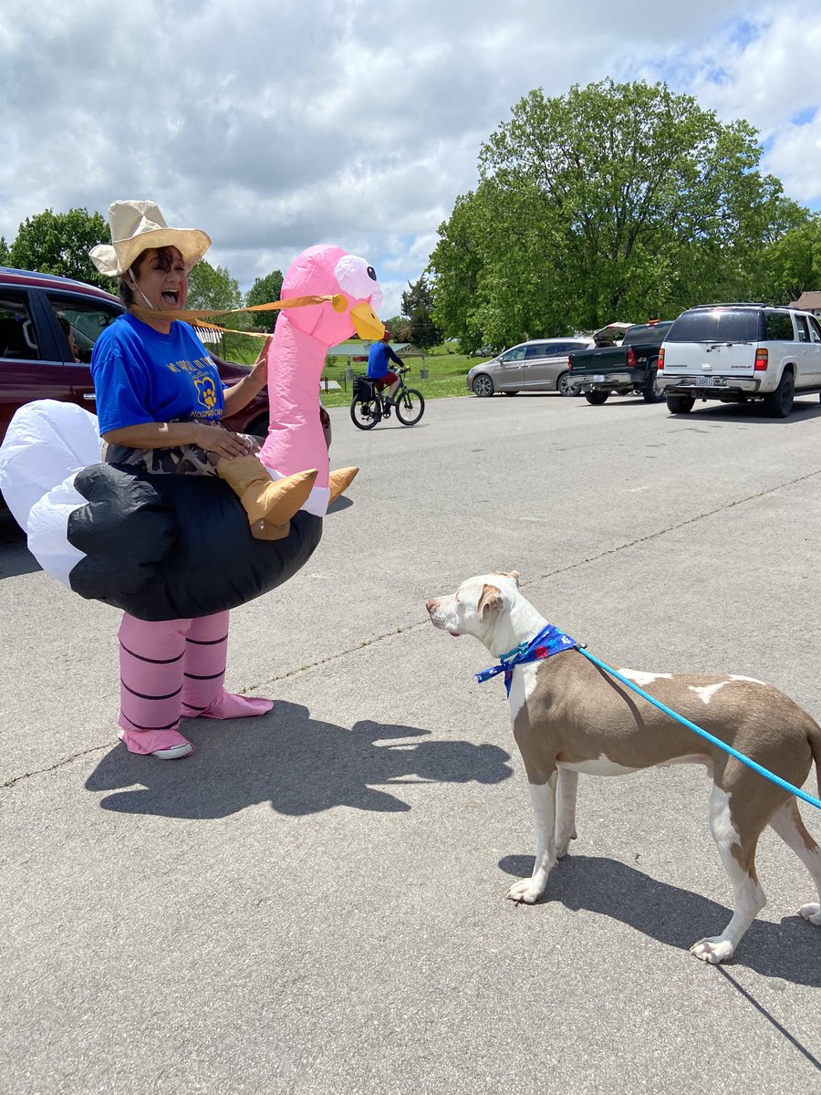 3rd_virtual's tweet image. We ♥️ our virtual students and families! Celebrating our year together! Looking forward to our last week together! @SJSDVirtual