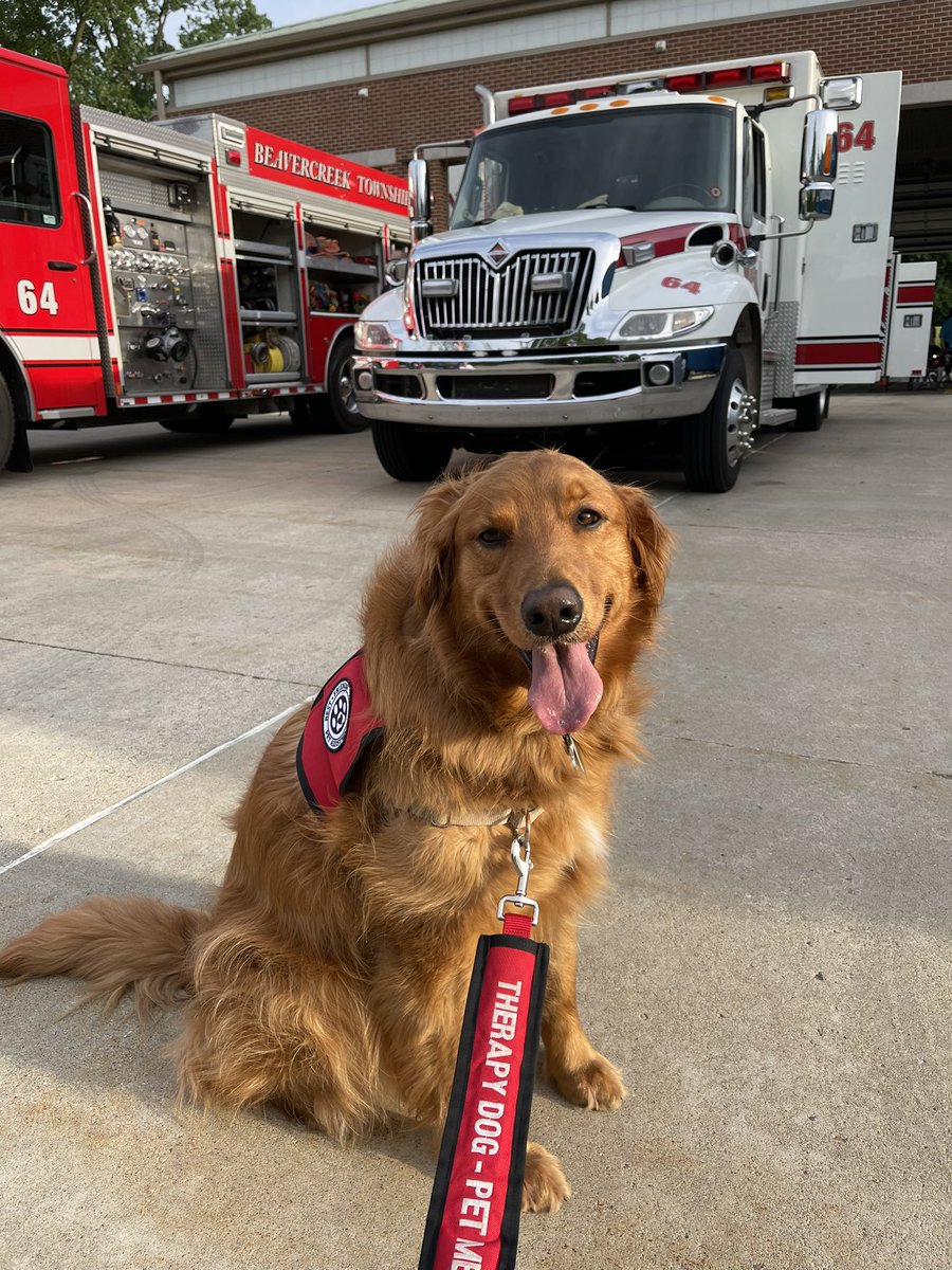 Fun times today! My therapy dog group was invited to our local fire department to help them celebrate #NationalEMSWeek. They had an open house and I had a blast. Lots of pettins for the ol Gusser! #therapydog #goldenretriever #dogsoftwitter