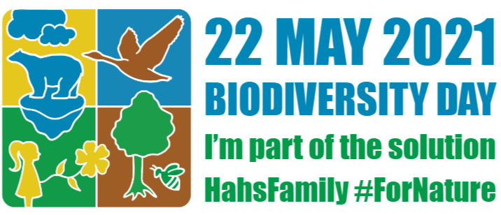 AmyKHahs's tweet photo. Happy #BiodiversityDay ! Today I will celebrate biodiversity with my family by going outside and being part of the solution #ForNature https://t.co/sO6HzsEkHA