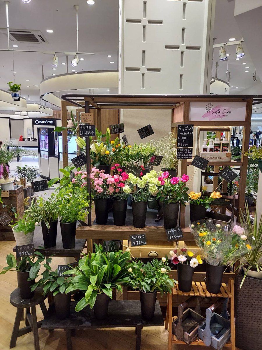 coco_cura's tweet photo. ココクーレ、越谷レイクタウン
オープンしました🎶

今日はこの後たくさんの切り花が入荷するので、是非、1週間の疲れを癒しにご覧になられにきてみてはいかがでしょうか？？🌸

#お花 #花 #フラワー #お花のある暮らし #お花好きな人と繋がりたい #お花屋さん #花屋 #ブーケ #花束 #フラワーショップ https://t.co/Yi3GEcIvYK