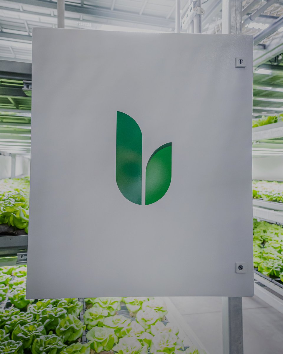 GrowTotal's tweet image. #automatedcontrols #controlsystem #sensorcontrol #gogreen #lettuce #indoorplants #farmlife #industrialgrade #tailoredgrow #harvest #organicfarm #wegrow #tgc #microfarm #babygreens #medicinalherbs