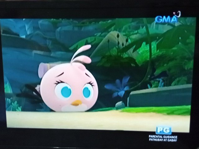 Now watching: Angry Birds Stella on GMA7! 🐦📺
.
#AngryBirdsStella #GMA7 #GMAnetwork #AngryBirds #DBS0522