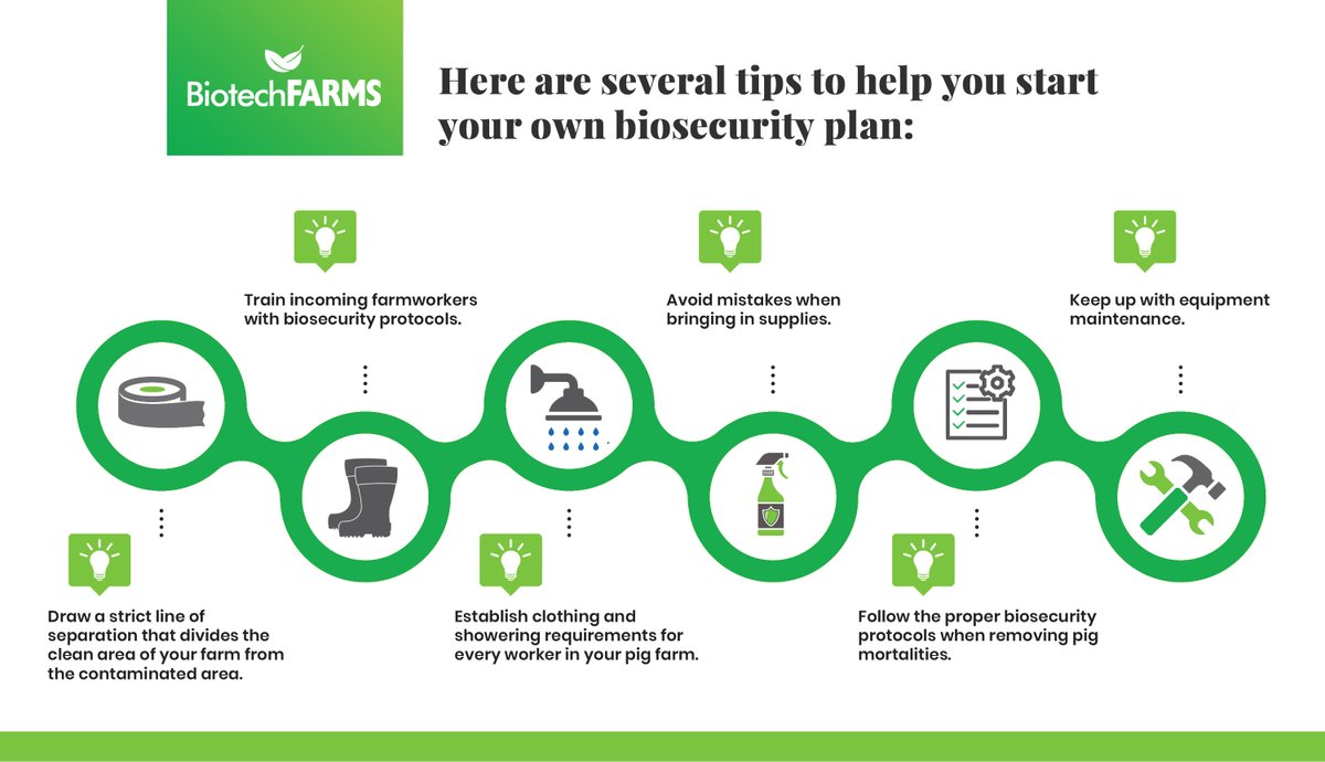 biotechfarms's tweet photo. The threat of the African Swine Fever (ASF) looms over the minds of pig farmers in the Philippines. Take a look at these tips to help you get started on your own biosecurity plan. 

Read the full article here: https://t.co/3oKmm20nWh https://t.co/oMxXCceRmo