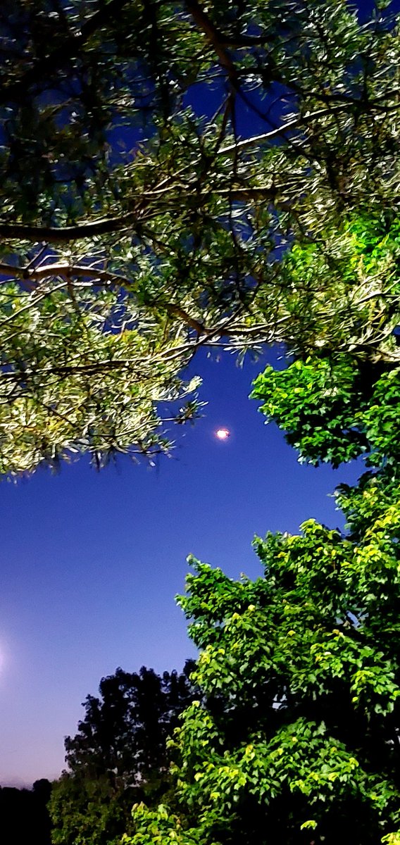 A little night photo fun with an NCNG helicopter for you and a #FF 

<a href="/INSHomeService/">The INS home office</a>

<a href="/NormanAmerican/">Surreal Norm</a>

<a href="/LabyrintheLRP/">Labyrinthe LRP</a>

@TheGreyAreaNC

<a href="/Nexus7900/">Dr. President Elect Brent 🇺🇸 😏👌👍🎄🎅⛄❄</a>

<a href="/LittleSisterLee/">Lee</a>

<a href="/transcribe/">Annalisa Brimo</a>

@AtrueJoker

@YearOfTheViolet

<a href="/BadDudeWill/">🕹Will Lewis 🎮</a>

<a href="/GeneralCattis/">"Mad Cat" Cattis</a>

<a href="/PerilousPrimate/">chupacadabra</a>