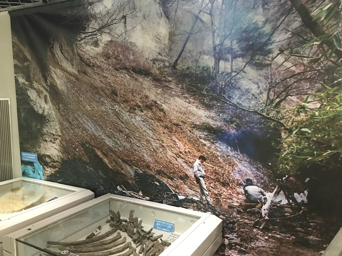 センダイの名のついたクジラ】山深い「竜の口渓谷」で1999年に発見され