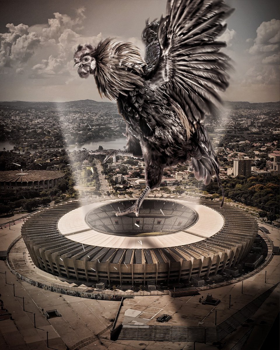 Atletico's tweet photo. 💪🏾⚫⚪ HOJE TEM GAAAAAAALLLLOOOOOOOO!

⚽ @Atletico 🆚 @AmericaMG
🏆 Campeonato Mineiro
⚙ Final - volta
🕟 16h30
🏟 @Mineirao
📺 @tvglobo e @canalpremiere
🎥 Pré-jogo, narração e pós-jogo, ao vivo, a partir das 15h30, na 
@tvgalo: https://t.co/UEgX5NYbuG

#VamoGalo #CAMxAFC 🏴🏳️ https://t.co/mFImbQw9cG