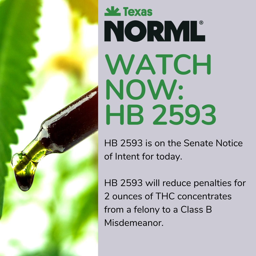 TexasNORML's tweet photo. #HB2593 to reduce the penalty for possession of 2 ounces of concentrates from a felony to Class B misdemeanor is being debated on the Texas Senate floor now!

Tune in here: https://t.co/A32pSxgFdi https://t.co/xLi3uNnoW5