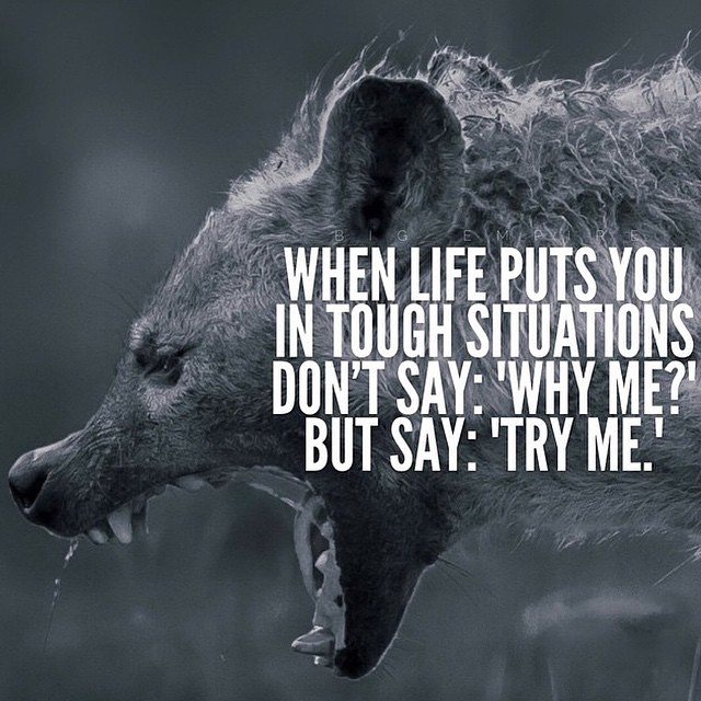YByunbin's tweet photo. This should be the attitude if you want to #beyourownboss.

#tipstosuccess #growthhack #tryme https://t.co/dF2DOpz1IJ