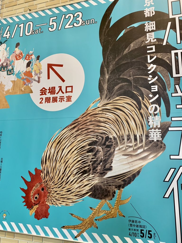 🐓🐓🐓 