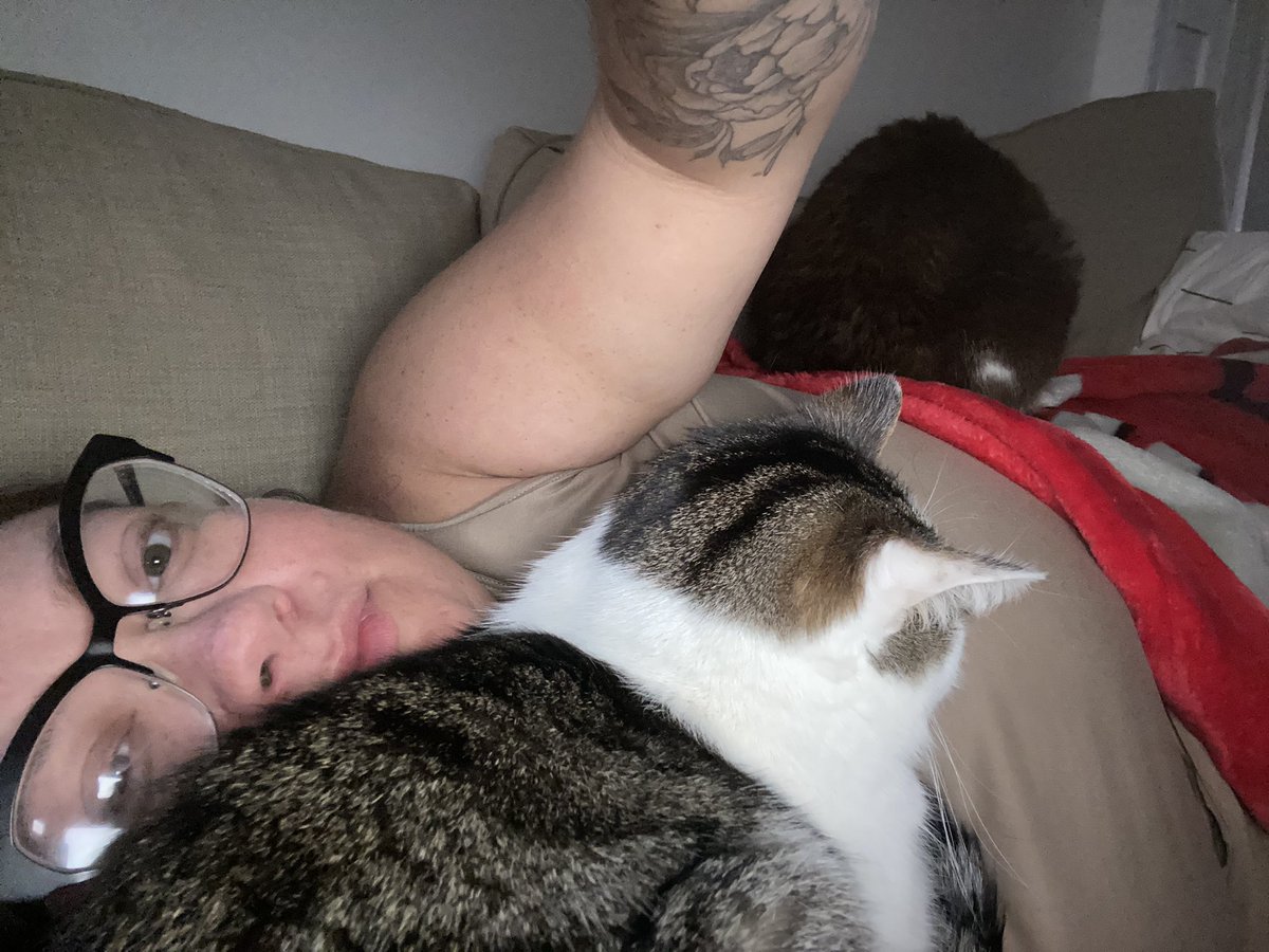 my kitty babies stayed by my side allll day while mommy had a migraine 😍😍 #kitties #loyalty #CatsOfTwitter #finnandliv #mybabies