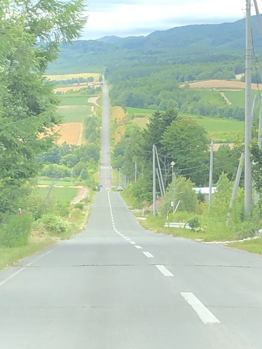 こん 高画質 のtwitterイラスト検索結果