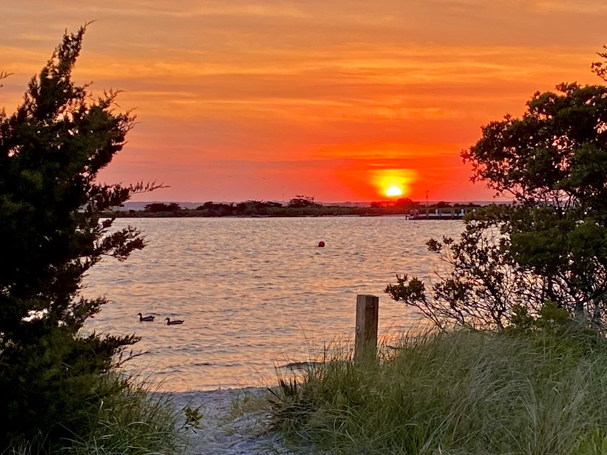 StaceyDaly74's tweet image. Why I love being a Jersey Girl... #DigCommSU