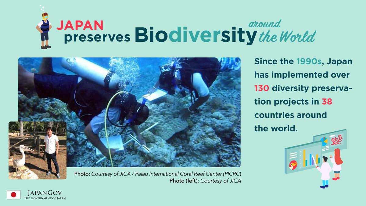 japan's tweet photo. It's Int'l #BiodiversityDay! Over 37,400 wildlife species are endangered, incl. some of Japan's around 94,500 species. To help foster #HarmonyWithNature, Japan has implemented #biodiversity &amp; #bioconservation projects in 38 countries. https://t.co/Io7srdDyA9

#GlobalGoals https://t.co/59DFuSpgbe