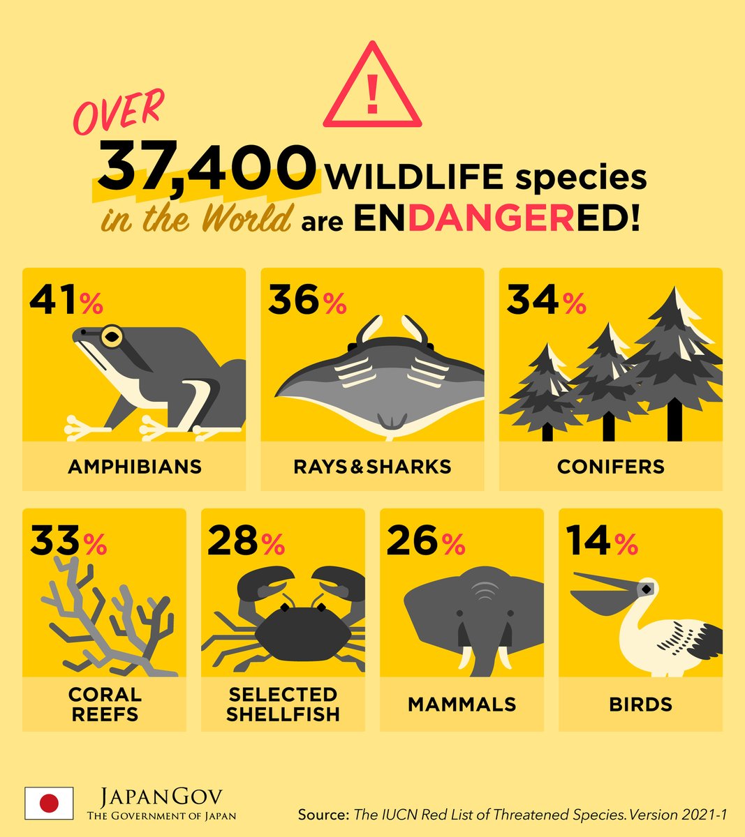 japan's tweet photo. It's Int'l #BiodiversityDay! Over 37,400 wildlife species are endangered, incl. some of Japan's around 94,500 species. To help foster #HarmonyWithNature, Japan has implemented #biodiversity &amp; #bioconservation projects in 38 countries. https://t.co/Io7srdDyA9

#GlobalGoals https://t.co/59DFuSpgbe