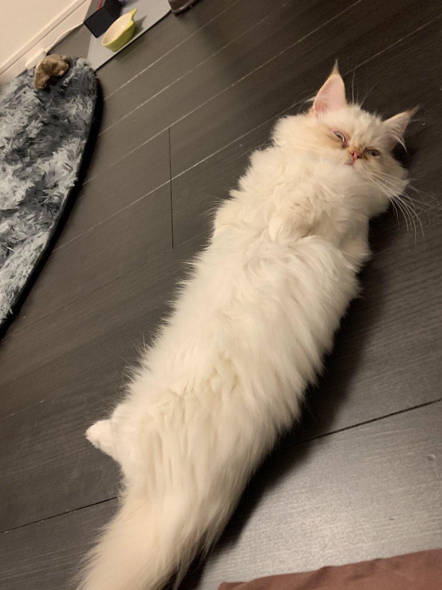 ▸▸▸ あいちん tweet media