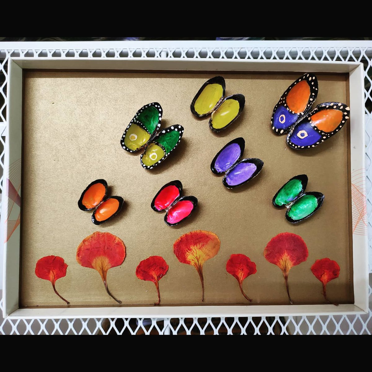 Barkha2803's tweet image. About last night 🦋
A #DIY project I did with shells I found washed up on a lake bed, fallen flower petals and a shoe box cover. 

PS: I still don&apos;t feel like working 😞

#shellcraft #wallart #bestofwaste #crafts #Creative #Flowers