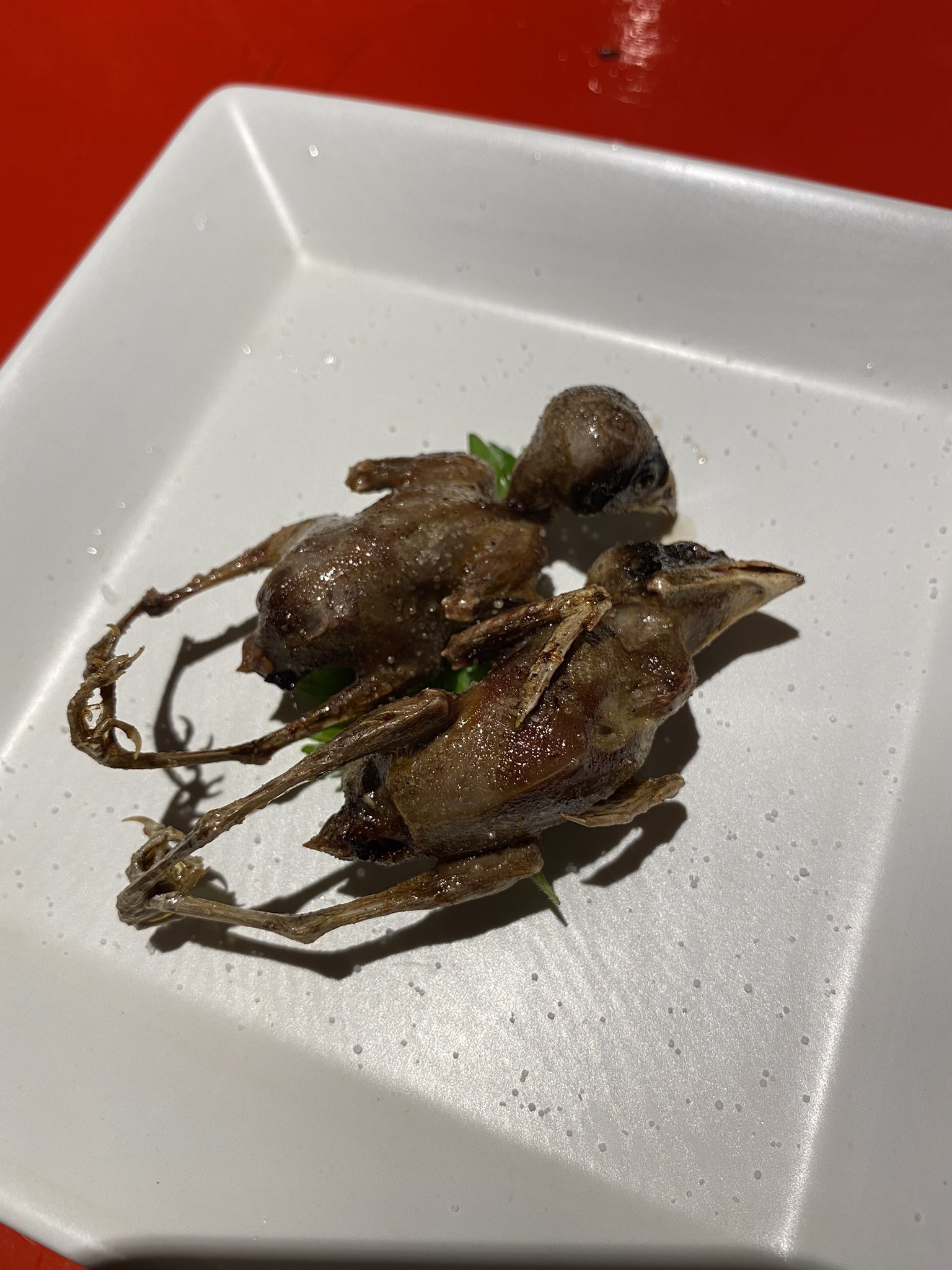 Mu 6 ムシカ トドの刺身とスズメの唐揚げも食べてきました トドの刺身は トドカレー缶の印象強くて 癖をかなり覚悟 半分期待してたんだけど血抜きがいいのかめっちゃさっぱり 厚くカットしたユッケという感じ スズメは頭から骨ごと食べられて食感が