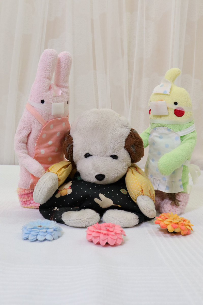 Shinno1102's tweet photo. #ぬいぐるみ病院 （@cocoro_bz ）さまの新しい試み、 #ぬいぐるみの国 創立メンバーにお選び頂きました、「わんた」です。昨年9月から今年の2月まで入院し、ドクターやナース、スタッフの皆様に大変お世話になりました🏥その経験も活かし、国の発展に尽力してまいります。よろしくお願い申し上げます！ https://t.co/B3EtP9DjQw