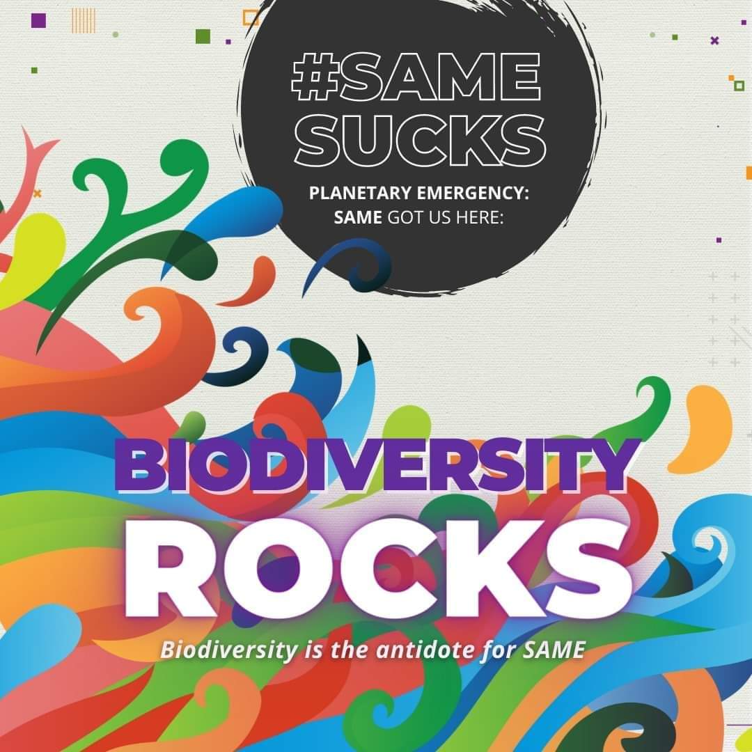 On the International #BiodiversityDay2021, join us together with youth constituencies as we launch #SAMESUCKS #StopTheSame campaign calling for urgent action on planetary crisis!

👉 ourfuturewithnature.org
 
#GenerationRestoration #youth4biodiversity #youth4environment