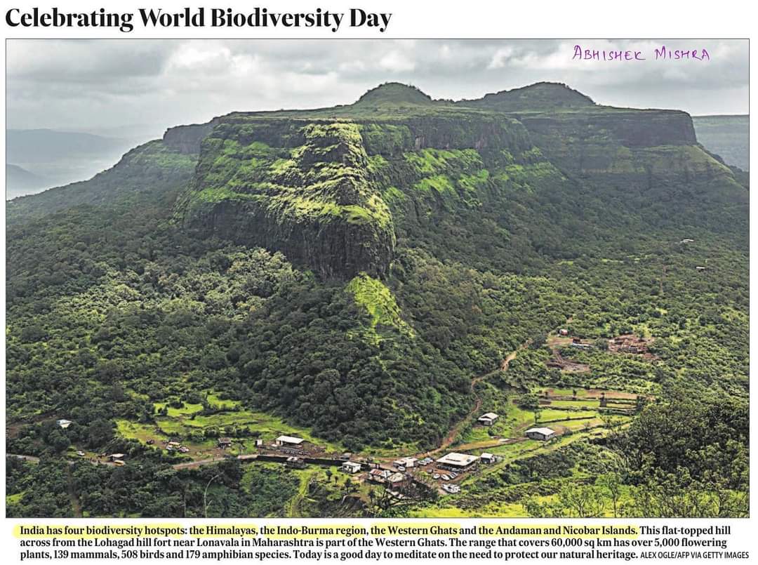 International Biodiversity Day 22 May 

#internationalbiodiversityday #biodiversity #rioearthsummit #environment #biodiversityindia #biodiversityhotspot