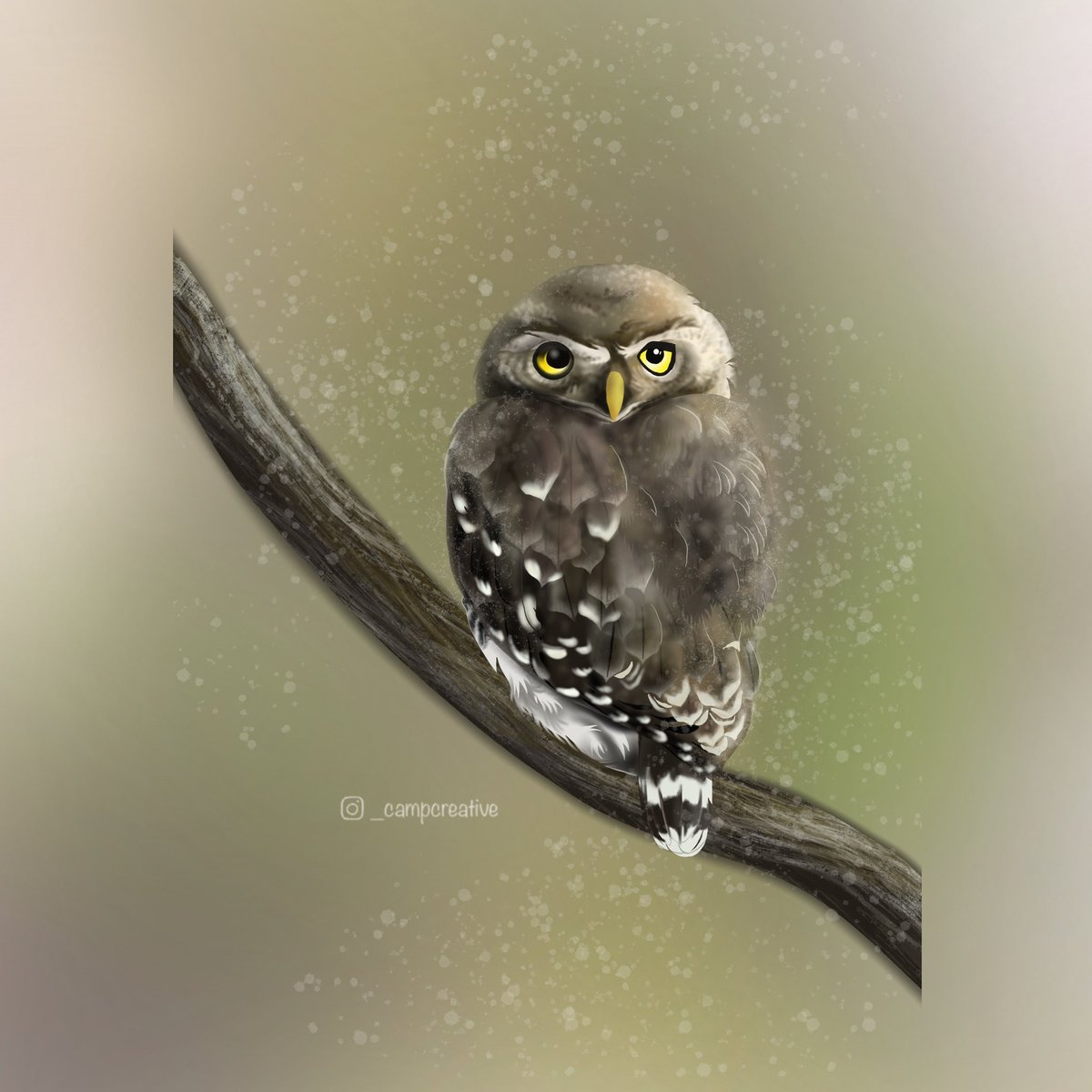 Here's an #illustration of the #endangered Forest Owlet ✨

Have you been lucky enough to spot this owl in the wild?

#owl #forestowlet #aves #birds #birdart #indianbirds #IndiAves #wildlife #iucnredlist #EndangeredSpeciesDay #endemic #procreate