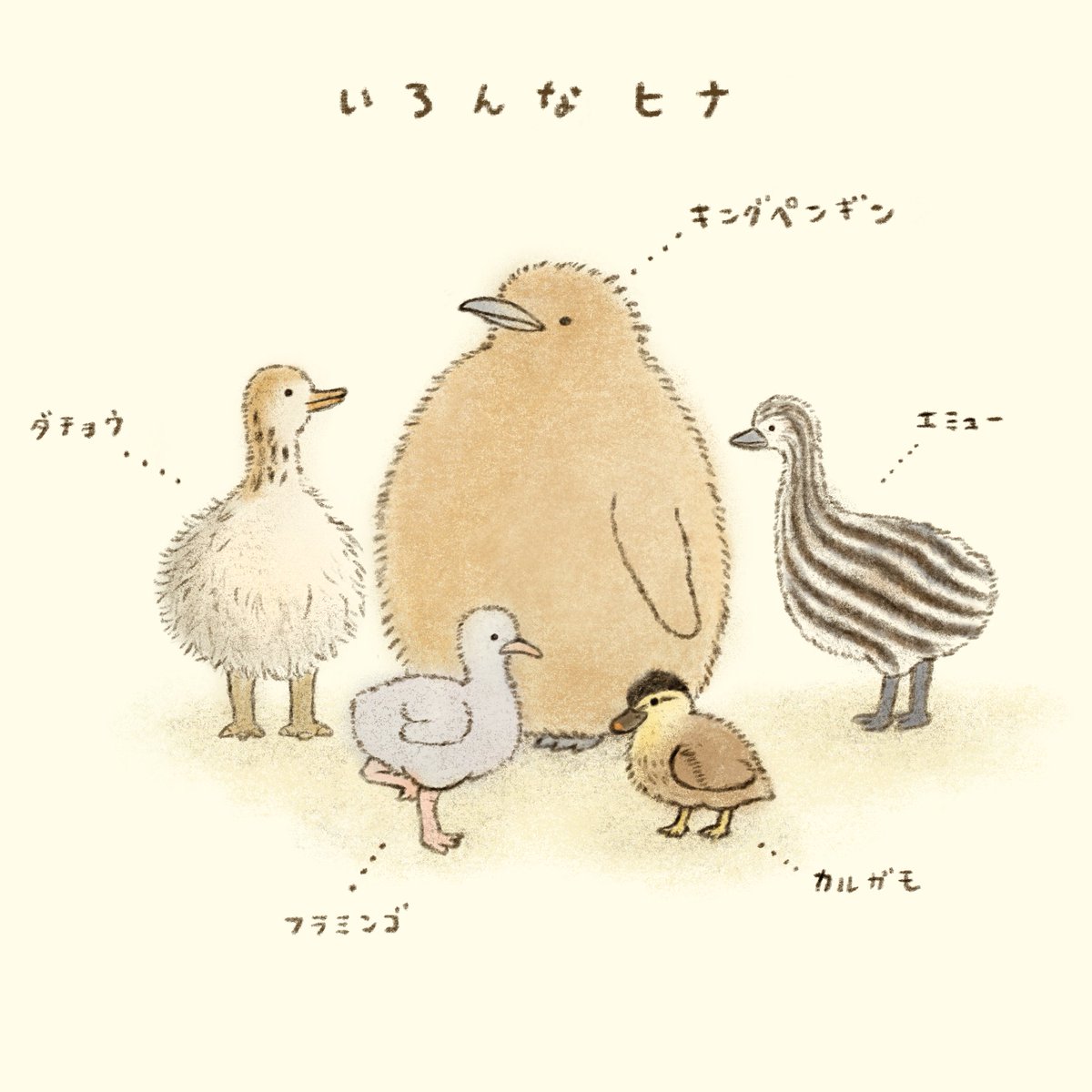 鳥が好きです🦩🦉🕊🐥🦜🦆

#愛鳥の日 #愛鳥週間 