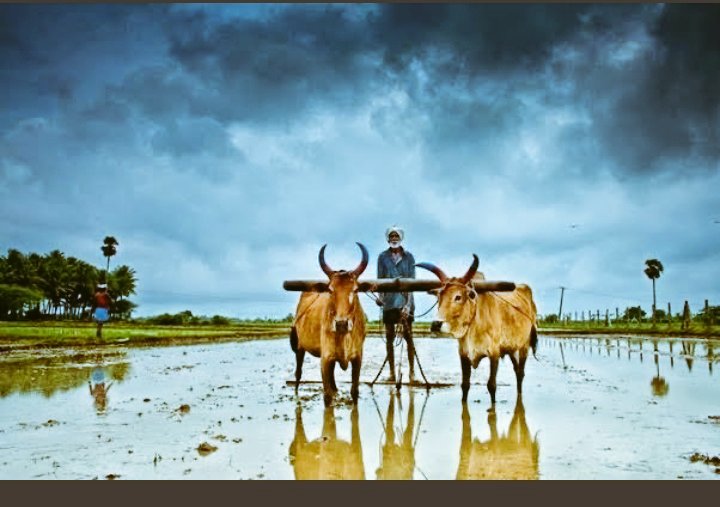 sarbkillerqueen's tweet photo. #मैं_भी_किसान This hastag is on no.1 trending on twiter.
I stand with farmers.
Shame on indian govt.

#ModiStopExploitingFarmers https://t.co/kWN1KZpdP8