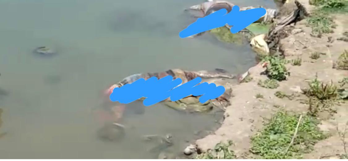 GargiRawat's tweet photo. In Buxar, Bihar, around 40 bodies floating down the Ganga piled up at a ghat. Administration says they are from neighbouring UP. Deaths in rural India rising due to COVID. Earlier there were similar ghastly sightings in Hamirpur, in the Yamuna  @manishndtv https://t.co/CIgMImdu8b