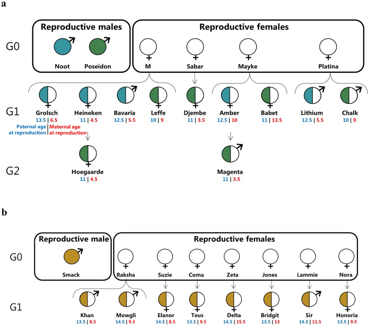 GigaScience (@gigascience) on Twitter photo New from <a href="/LucieABergeron1/">Lucie A Bergeron</a> et al. helping further throw light on the rate and pattern of germline mutations. The germline mutational process in rhesus macaque and its implications for phylogenetic dating. doi.org/10.1093/gigasc… New from <a href="/LucieABergeron1/">Lucie A Bergeron</a> et al. helping further throw light on the rate and pattern of germline mutations. The germline mutational process in rhesus macaque and its implications for phylogenetic dating. doi.org/10.1093/gigasc…
