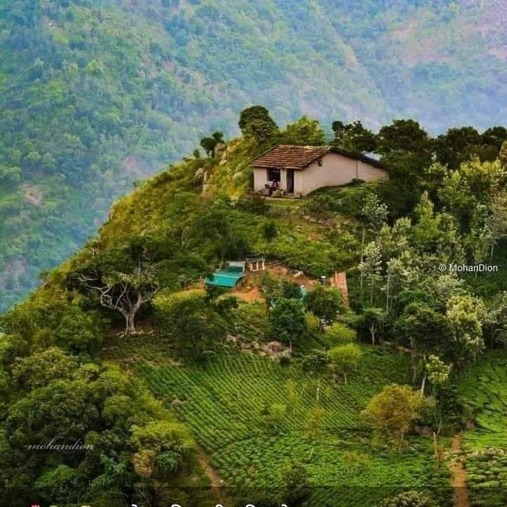 हमारी प्रकृति को मैं लाख-लाख जोहार करता हूं क्योंकि हमारे को सब कुछ देती है प्रकृति की में रक्षा करता  हूँ   सब लोग अपनी प्रकृति की रक्षा करे बिरसा कि तर  अपनी  प्रकृति की रक्षा करें जय जोहार जय आदिवासी  Jay Birsa