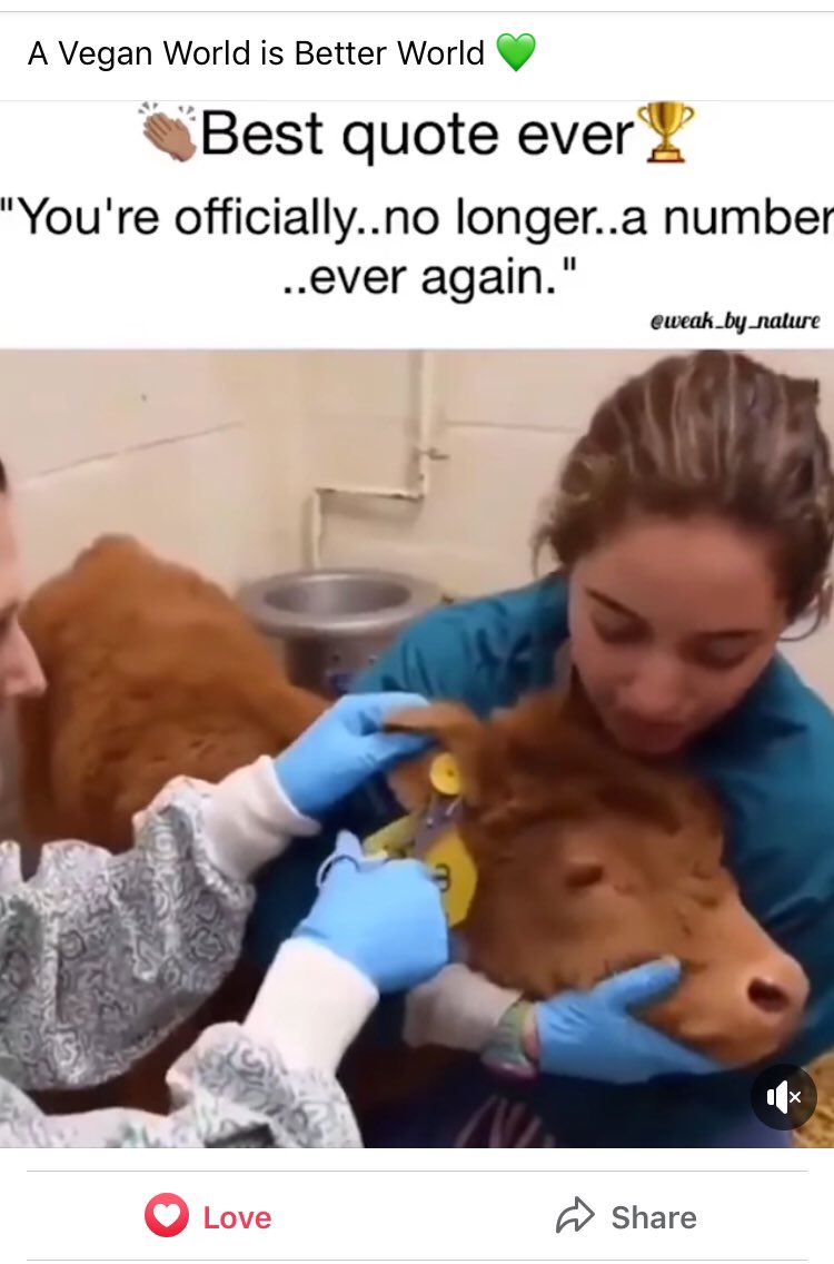Vawareinfinite's tweet photo. We can help animals to be free. By choosing a plant-based diet, there will be fewer and fewer animals to be born and killed. We want peace and respect that's what animals also want. Please help them. Choose vegan🌱🙏
https://t.co/ainqgk2mdG https://t.co/QCyRridokQ
