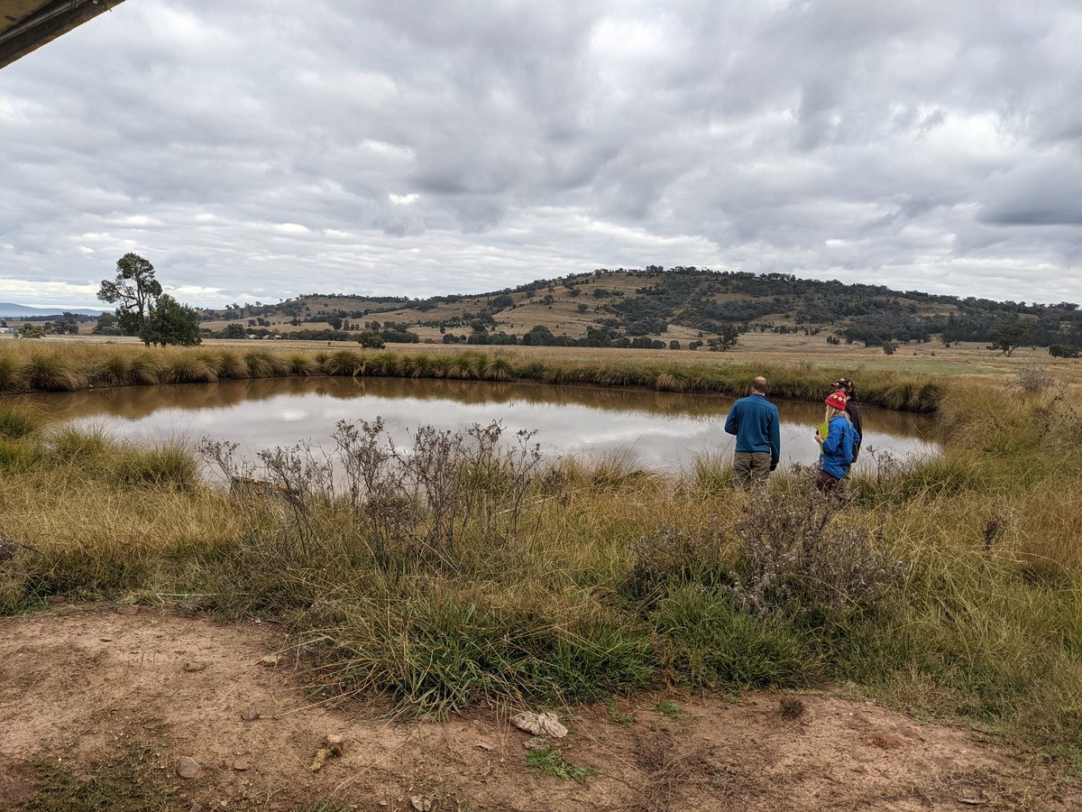 Pondering about the ponds 🤠 aka
Start of the #FarmDam campaign in Canowindra today, guided by 2 field experts from @SusFarms_ANU (Dan and Eleanor at ANAY5).