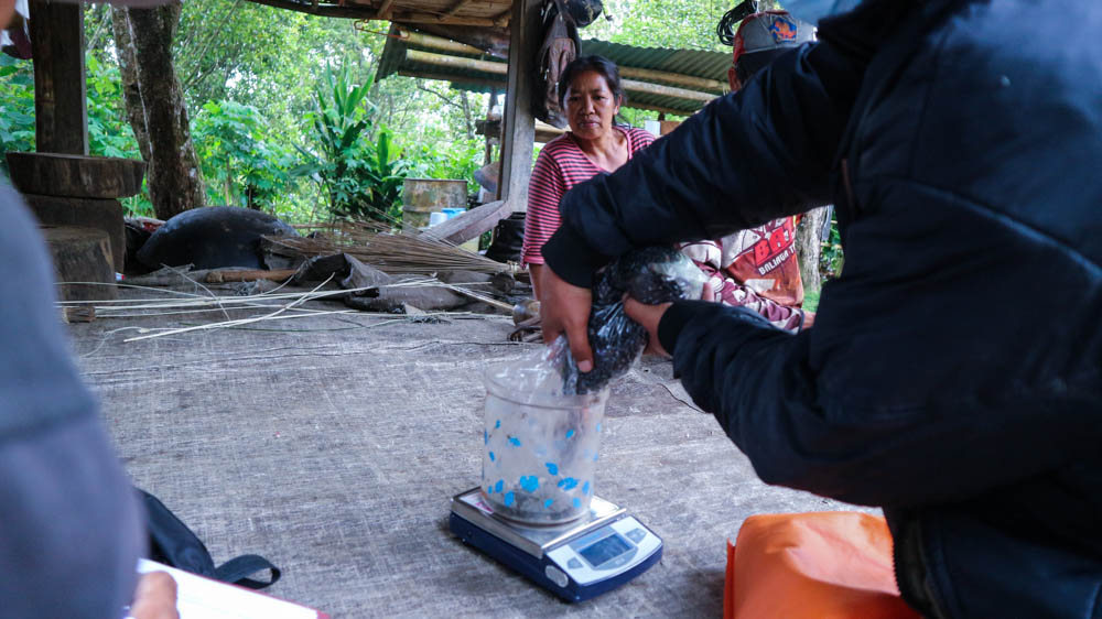 idepfoundation's tweet photo. Meet Seed Farmers in Pedawa

Since 2016, we are supporting farmers in Bali to become resilient by helping them to produce their organic seeds. 
#WartaIDEP #OrganicSeeds #SeedFarmers #IDEPFoundation https://t.co/ODEKJLnh5n