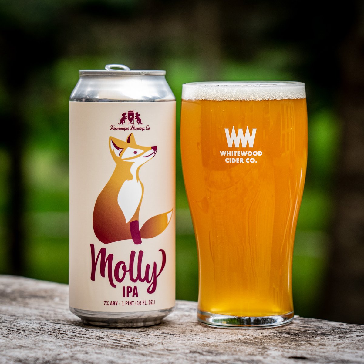 Recently I have been trying up up my beer picture game. This is tonights pic, Molly IPA from <a href="/BeerTriceratops/">TriceratopsBeer</a> in Tumwater. One of my favorite breweries and an awesome beer. Want to see more of my recent beer pics?  Here you gohttp://scottwoodphotography.com/beer/