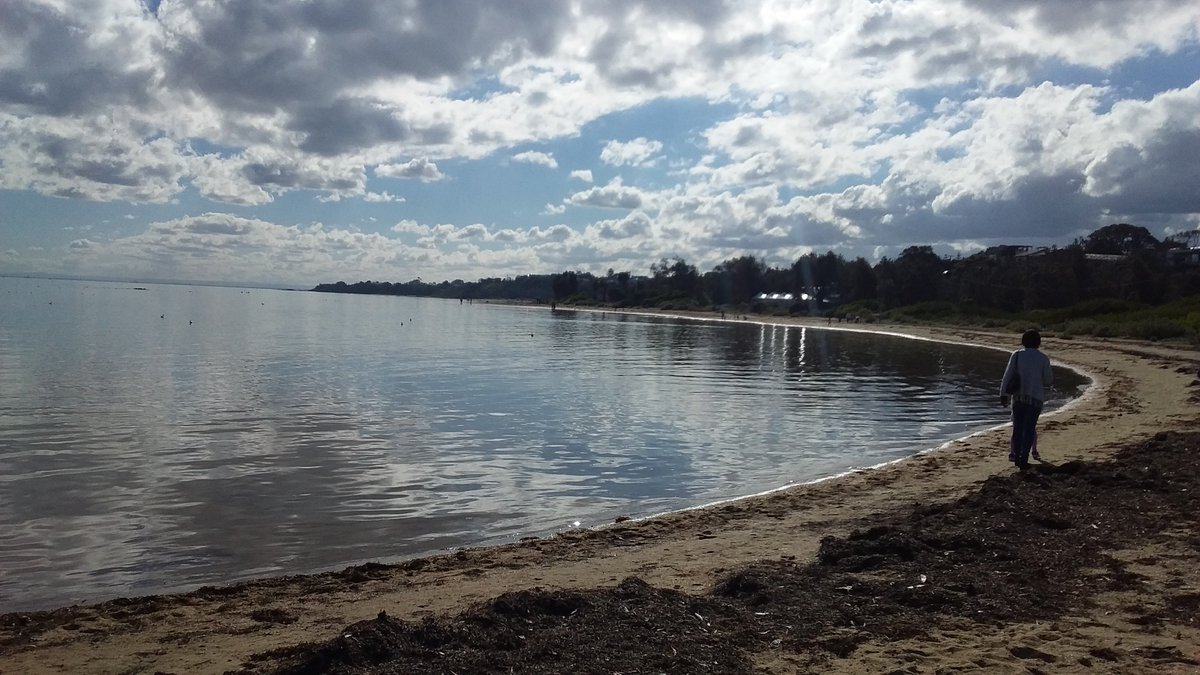 MoiraTMcCarthy's tweet photo. Ricketts Point: Winter is Coming. #RickettsPoint #Bayside #MelbourneWinter https://t.co/SCb7pfvTHt