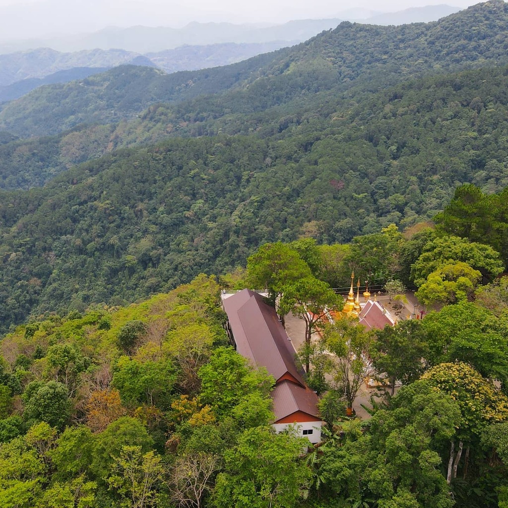 skyhigh_video's tweet photo. Wat Phra That Doi Tung (วัดพระธาตุดอยตุง) 

Wat Phra That Doi Tung is popularly thought to be the site of the first chedi constructed in the Lanna Kingdom. According to legend, King Achutarat of Chiang Saen established it in the year 911 to enshrine a co… https://t.co/5KYpwU8aO2 https://t.co/ZmnB8eyht6