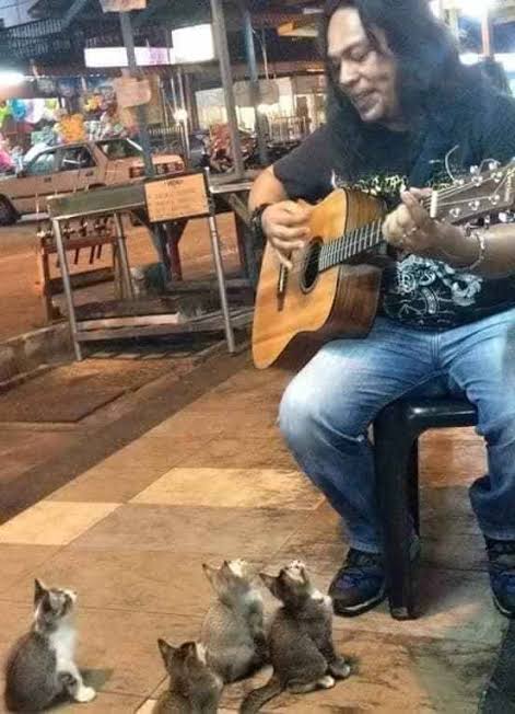 ZOO_FESS's tweet photo. Gemes banget barisan kittens nya zoo

https://t.co/CnkF2b7Bsh