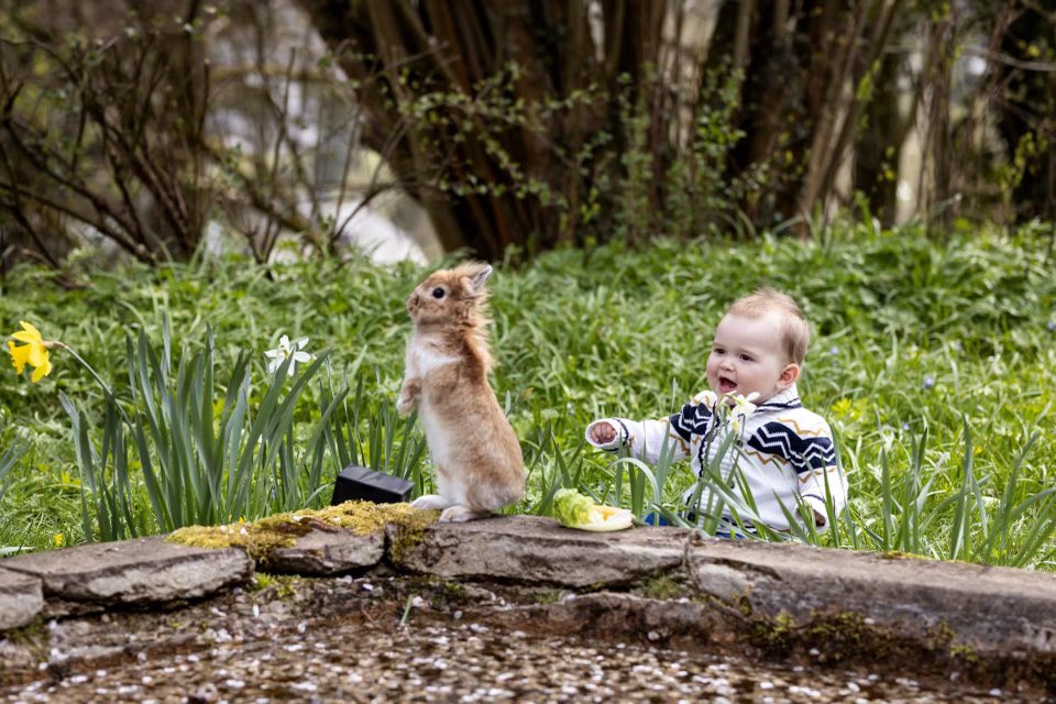  Happy 1st birthday to H.R.H. Prince Charles   © MGD / S.Margue 