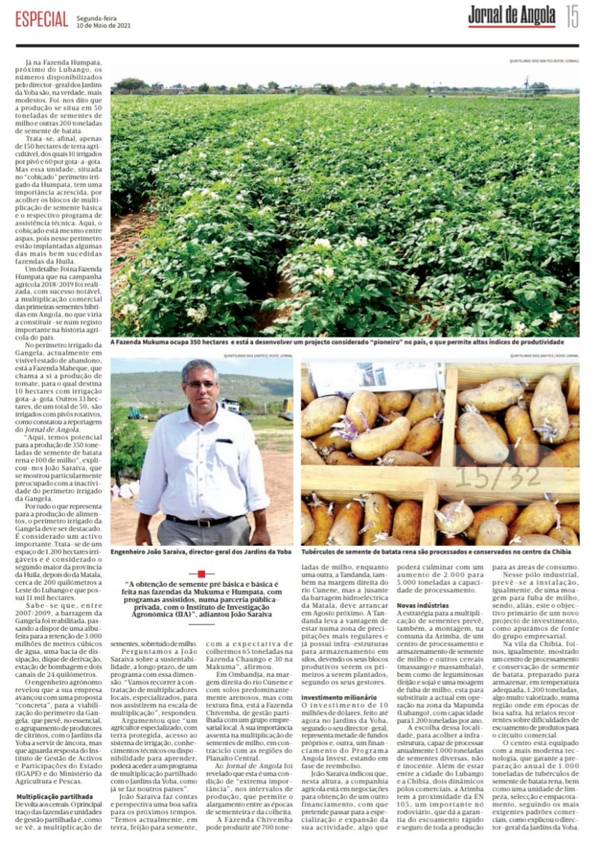 Publicação no Jornal de Angola sobre <a href="/yoba_ao/">Jardins da Yoba</a> Jardins da Yoba... O país em definitivo a reconhecer que voltamos ao caminho da sustentabilidade no acesso à sementes de qualidade