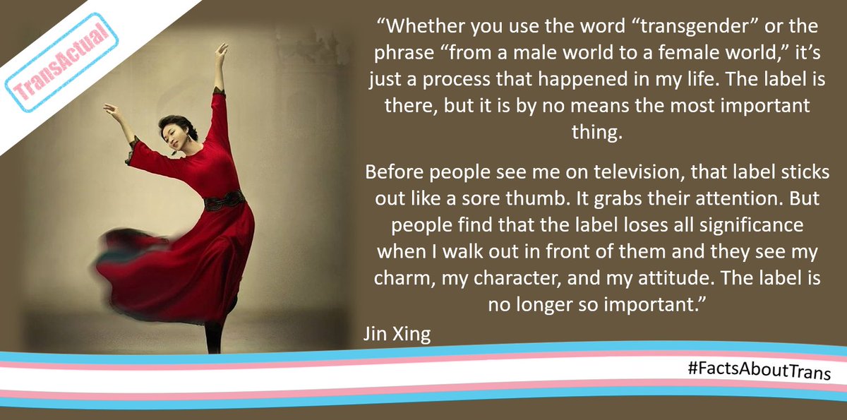 “Whether you use the word “transgender” or the phrase “from a male world to a female world,” it’s just a process that happened in my life. The label is there, but it is by no means the most important thing. Jin Xing