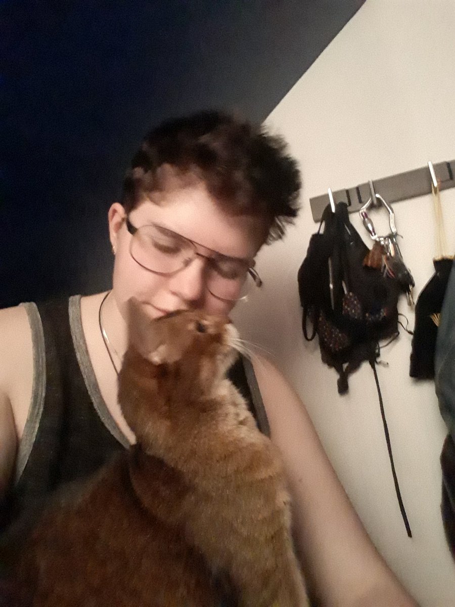 casey/clem/taps tweet media