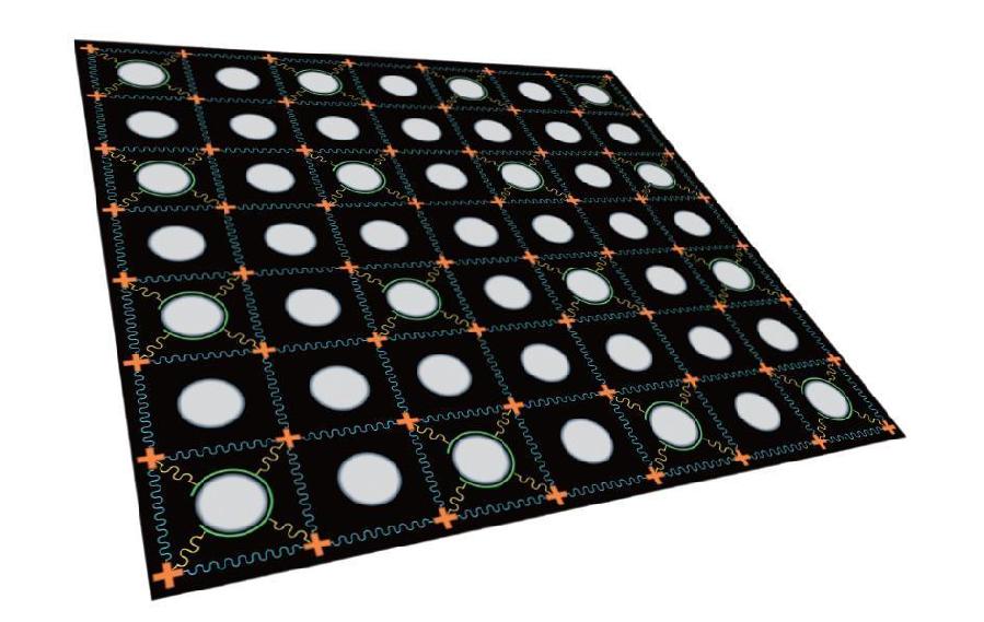 ChinaScience's tweet photo. Chinese scientists have successfully achieved two-dimensional programmable quantum walks on their self-designed 62-qubit programmable superconducting quantum processor. The computer, named Zu Chongzhi, contains the largest number of superconducting qubits so far in the world. https://t.co/vnE9vyEbcR
