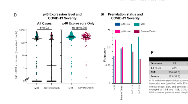 We found that the prenylated form (p46) of the dsRNA sensor OAS1 is associated with protection from severe COVID-19.