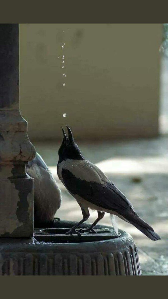 "أساس طَمأنينة قَلبك .. 
أن تَعرف أنَّ ما شاء الله كان، و ما لم يشأ لم يكُن."