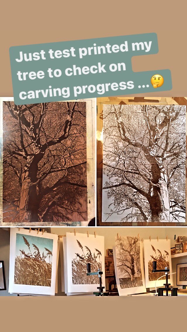 susenoble's tweet photo. Finished a test print of my big tree key block - just need to transfer the image to a couple of new blocks and get them carved before printing begins! 😁
#wip
#get_imprinted
#printmakersofinstagram
#ukprintmakers
#saltburnprintmaker
#multiblockprint
#linocutprint
#bigtree https://t.co/XfPiHotPSv